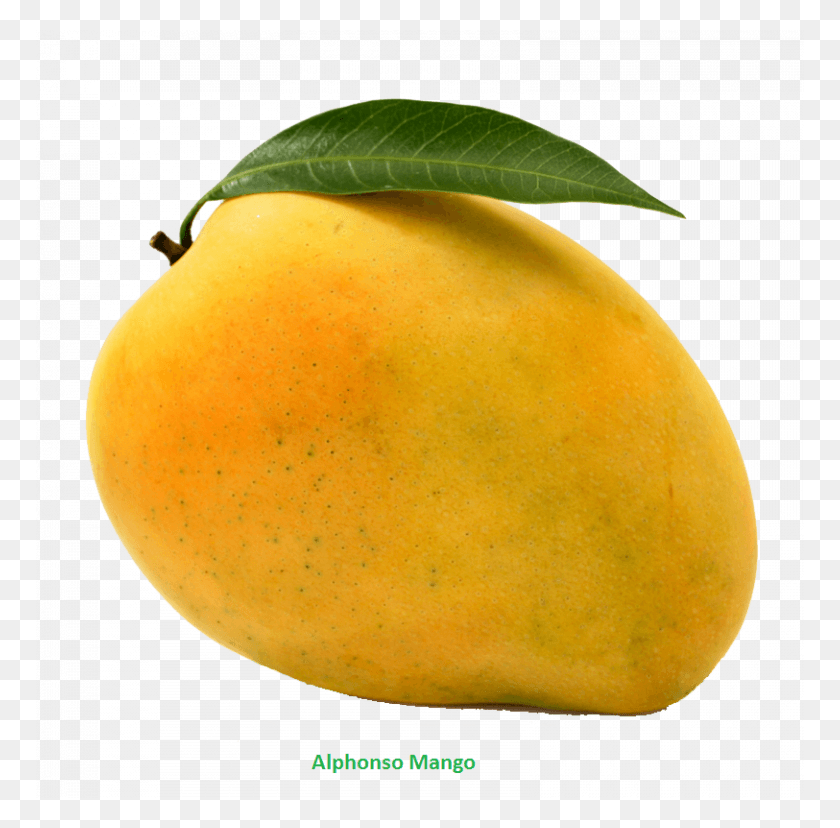 768x768 Mango Clipart Mango Free Photo Images Mango, Plant, Fruit, Food HD PNG Download