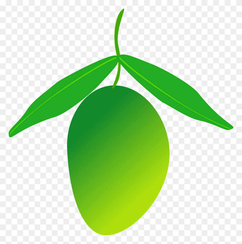 1266x1280 Descargar Png Fruta De Mango Alimentos Saludables Imagen De Mango Verde Png, Planta, Pelota De Tenis, Tenis Hd Png