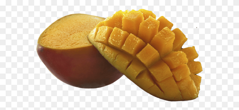 587x329 Mango Huerta Tropical Mango, Plant, Fruit, Food HD PNG Download