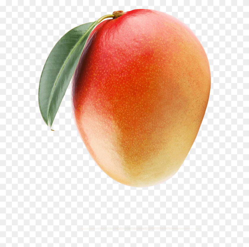 Mango Image With No Mango, Produce, Food, Fruit, Plant Sticker PNG