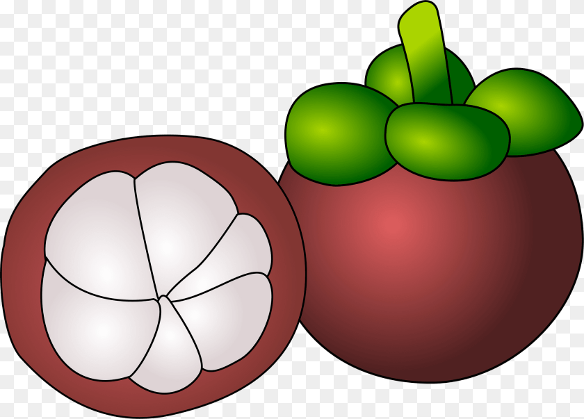 1920x1379 Mangostein Clipart, Food, Fruit, Plant, Produce Sticker PNG