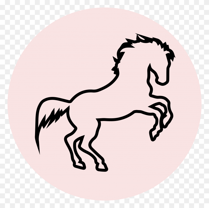 4727x4726 Жеребец, Лошадь Жеребца, Лошадь, Млекопитающее Png Скачать
