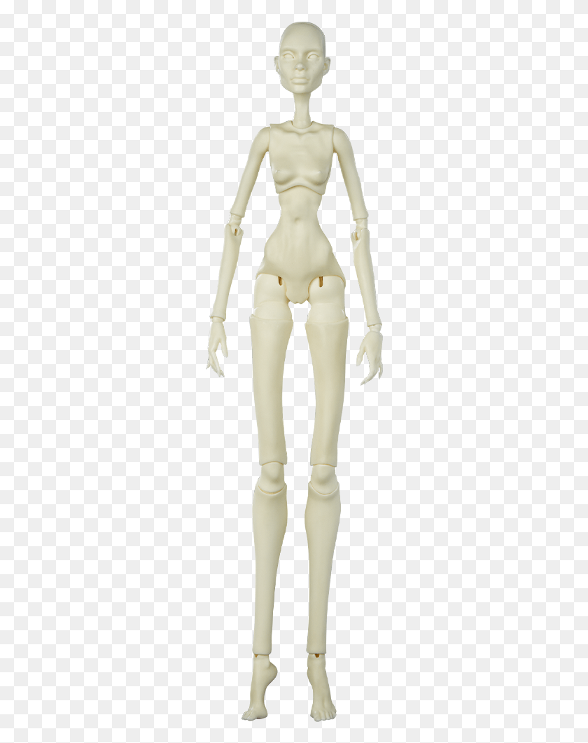 254x1001 Mannequin, Doll, Toy, Skeleton HD PNG Download