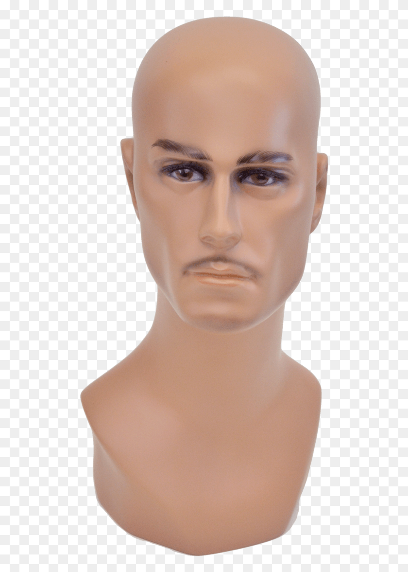 518x1116 Mannequin, Head, Person, Human HD PNG Download