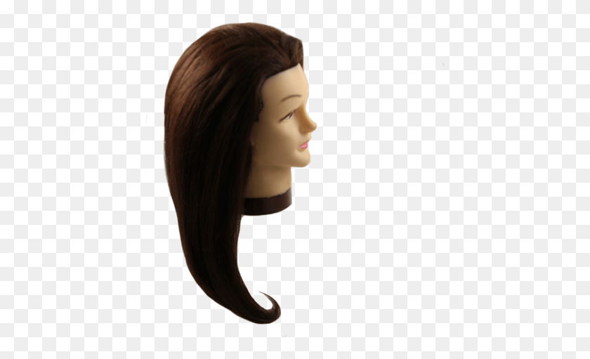 427x451 Mannequin Head, Hair, Person, Human HD PNG Download