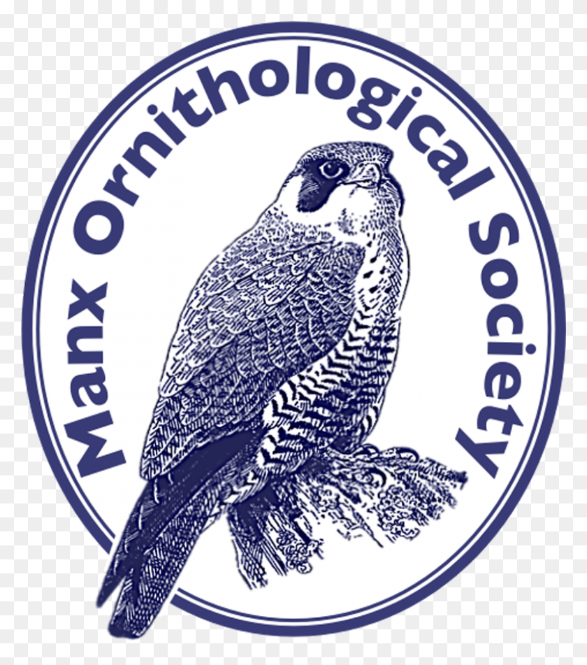 800x914 Manx Ornithological Society Parrot, Bird, Animal, Logo HD PNG Download