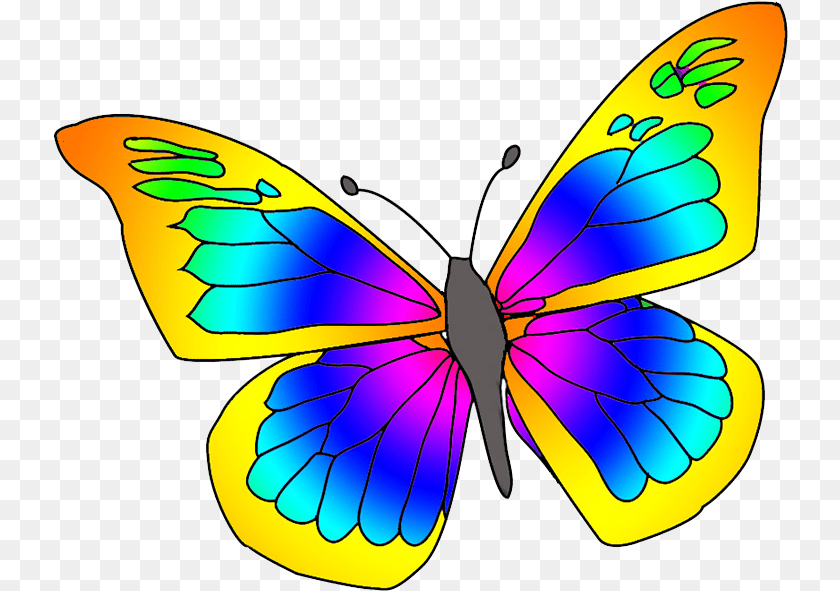 736x591 Many Colored Butterfly Clipart Picture Of Butterfly, Animal, Insect, Invertebrate Transparent PNG