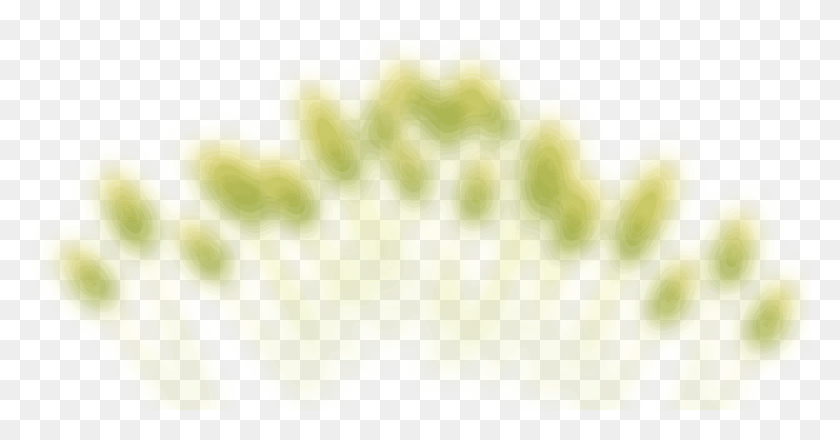 1126x549 Many Very Blurred Stalks Of Unripe Wheat Poultry, Green, Plant, Bush HD PNG Download