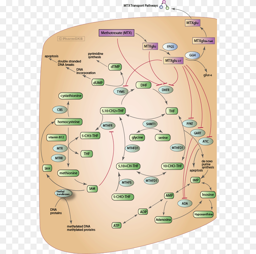Map, Diagram, Uml Diagram Transparent PNG