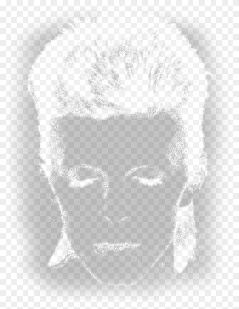 859x1130 Map Data Bowie Lightning Bolt Transparent, Head, Face, Tiger HD PNG Download
