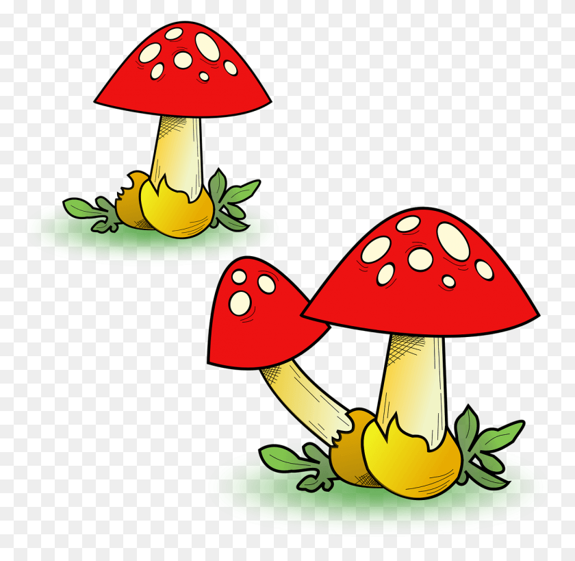 1228x1196 Значок Карты Rpg Rpg Items Image Fungus Clipart, Plant, Amanita, Agaric Hd Png Download