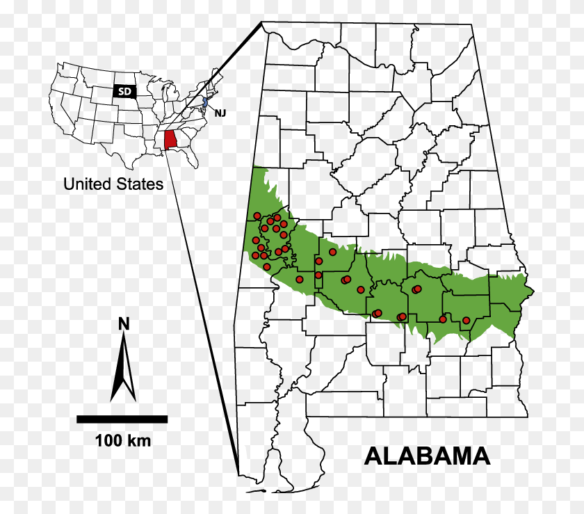 699x679 Map Of Alabama Usa Showing The Region Of Outcropping Map Of Alabama, Plot, Diagram HD PNG Download