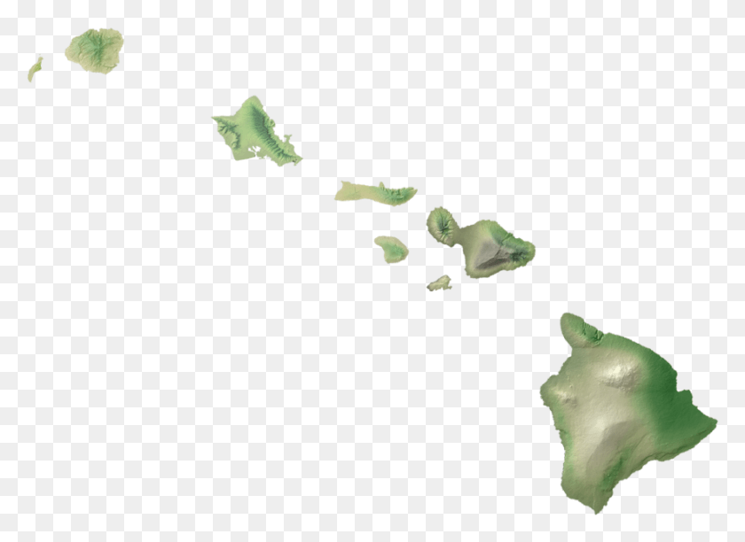 883x626 Map Of Hawaiian Islands Hawaii Island Map, Plant, Flower, Blossom HD PNG Download