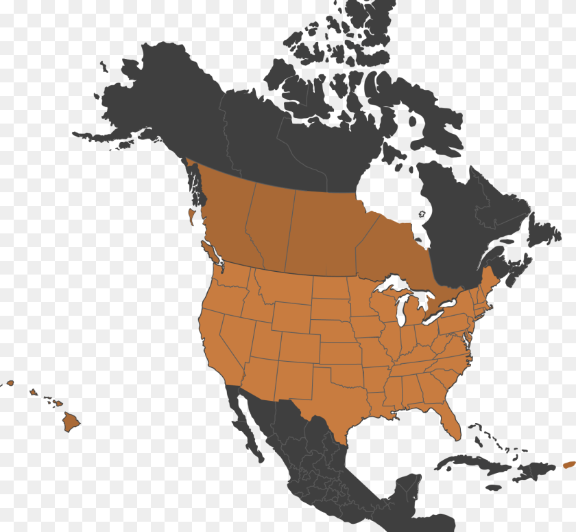 1475x1360 Map Of Mcg Architecture Services In North America Age Of Consent Us, Plant, Plot, Outdoors, Nature Sticker PNG