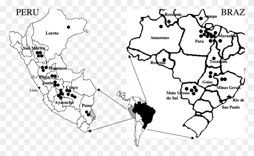 850x498 Карта Перу И Бразилии С Указанием Географического Происхождения Атлас, Участок, Диаграмма, Тропический Лес Hd Png Скачать