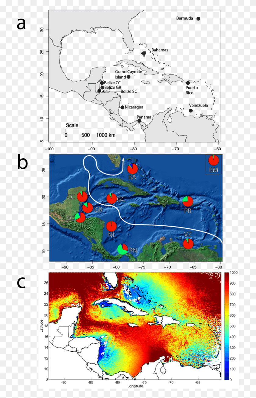 732x1243 Descargar Png Mapa Del Mar Caribe Y Las Bermudas Que Muestra El Mapa De Ubicaciones, Diagrama, La Naturaleza Hd Png