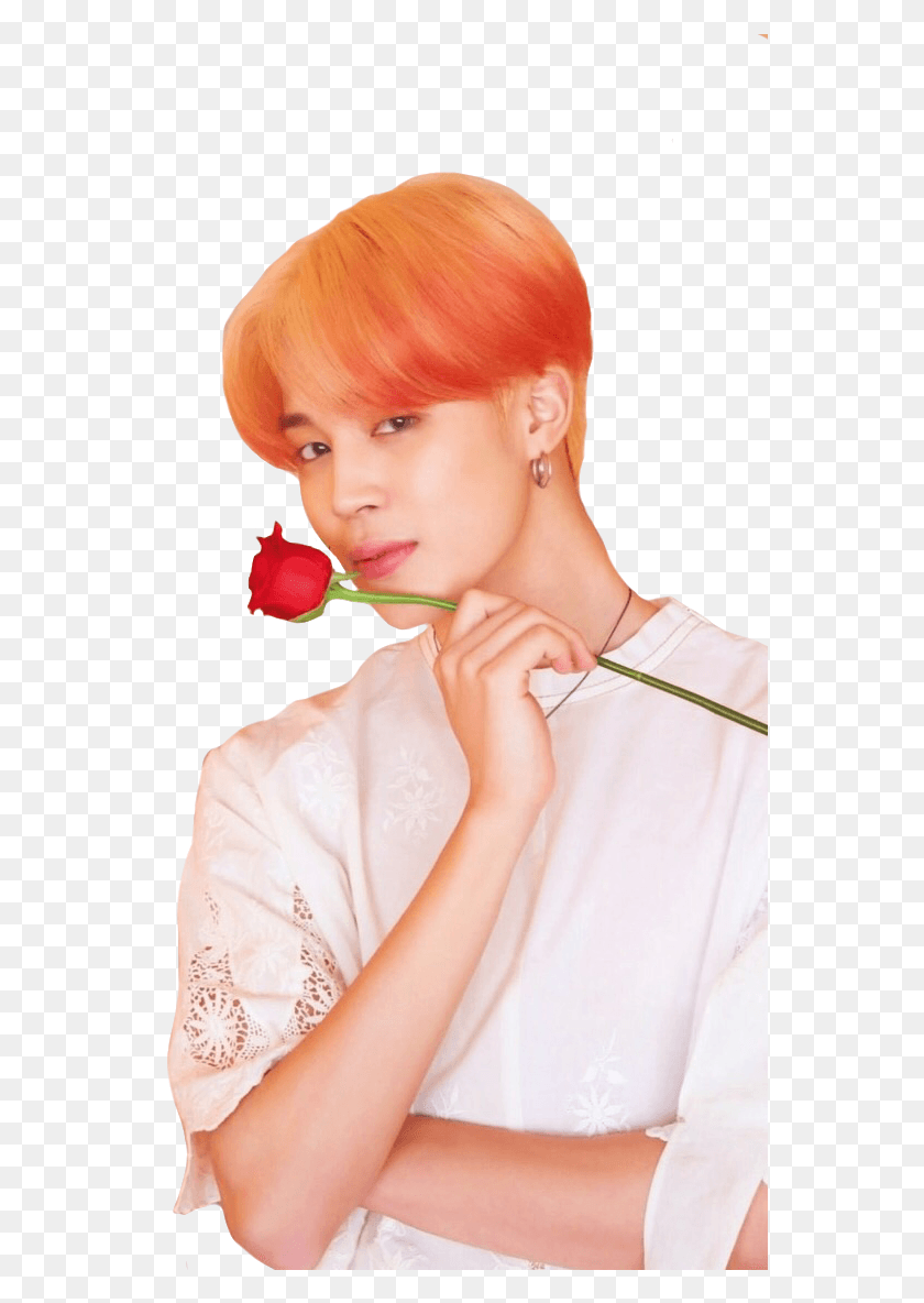556x1124 Map Of The Soul Persona Concept Photos Jimin, Rose, Flower, Plant HD PNG Download