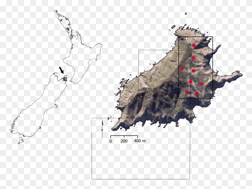 838x613 Descargar Png Mapa Del Sitio De Estudio Con La Flecha Que Indica El Mapa, Diagrama, Atlas Hd Png