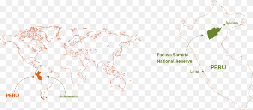 Map Of The World, Vegetation, Tree, Rainforest, Plot Transparent PNG