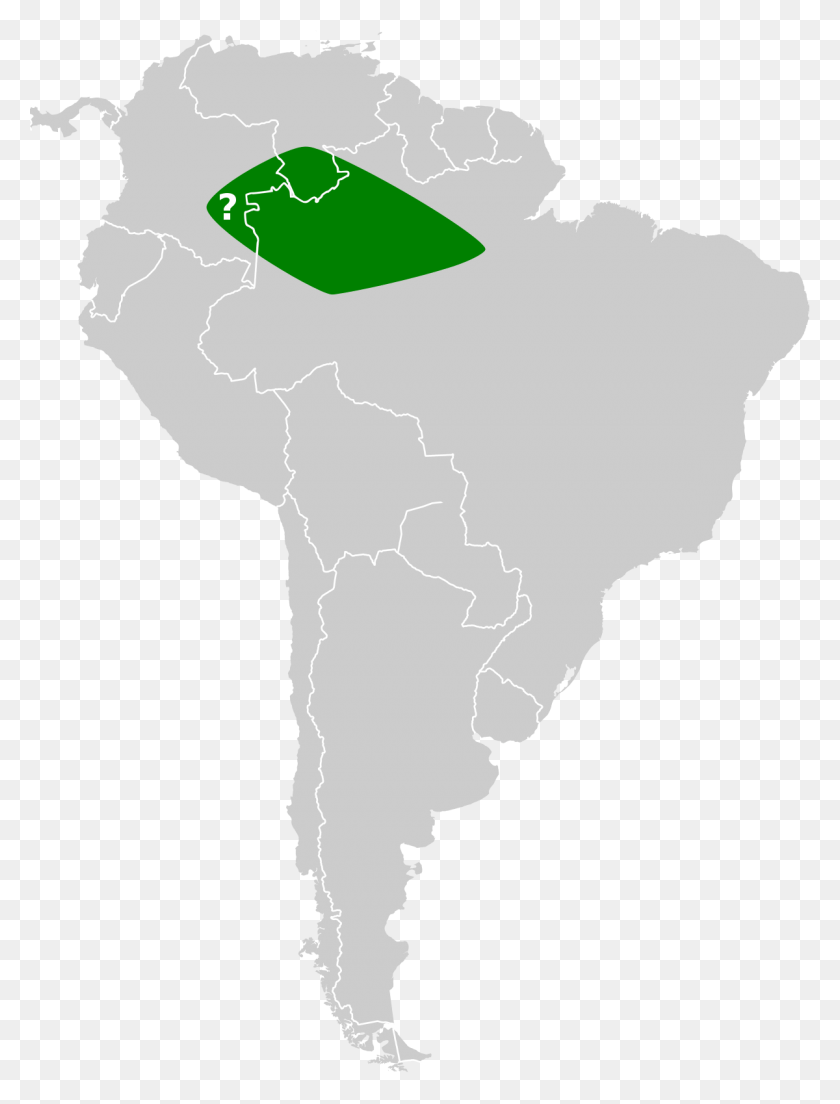 1200x1607 Map Of Where Chinchillas Live, Plot, Diagram, Atlas HD PNG Download