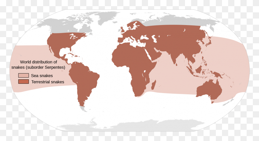 1818x923 Карта, Показывающая Приблизительное Мировое Распространение Змей Мировое Распространение Змей, Диаграмма, Атлас, Участок Hd Png Скачать