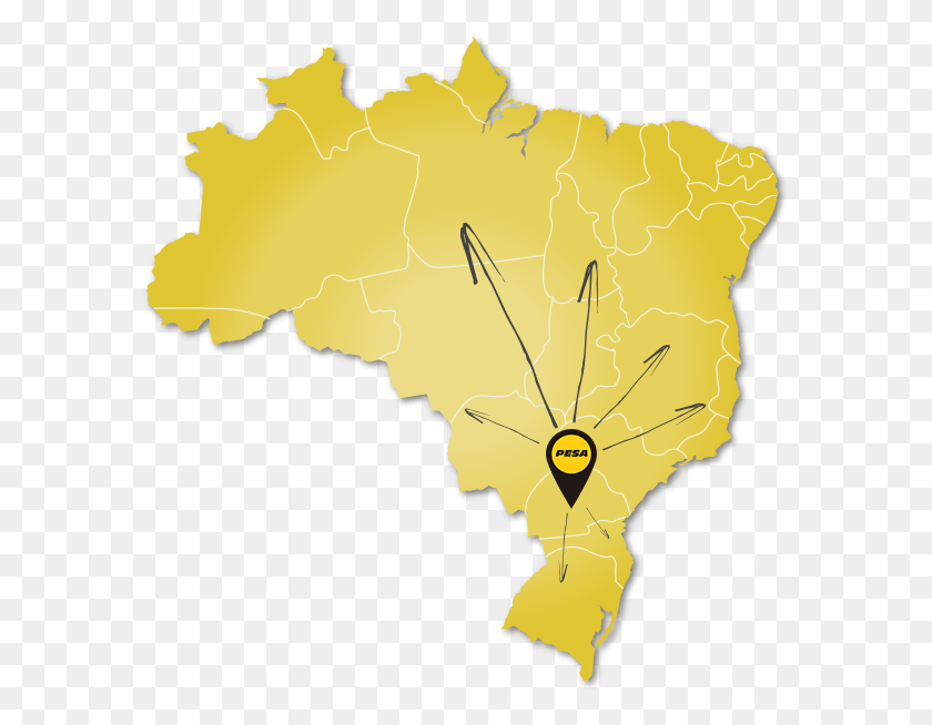 584x594 Mapa Brasil Brazil, Лист, Растение, Карта Hd Png Скачать