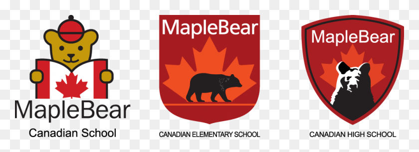 1000x315 Maple Bear Global Schools Maple Bear High School, Mammal, Animal, Wildlife HD PNG Download