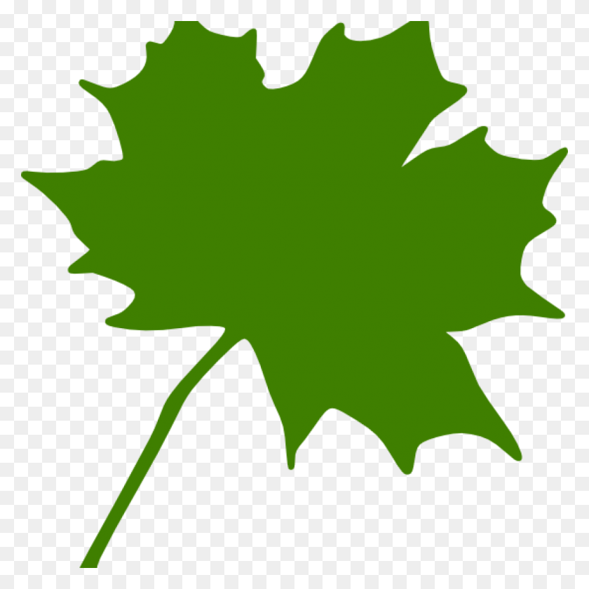 1024x1024 Maple Leaf Clipart Green Maple Leaf Clipart Clipart Green Maple Leaf Clip Art, Leaf, Plant, Tree HD PNG Download