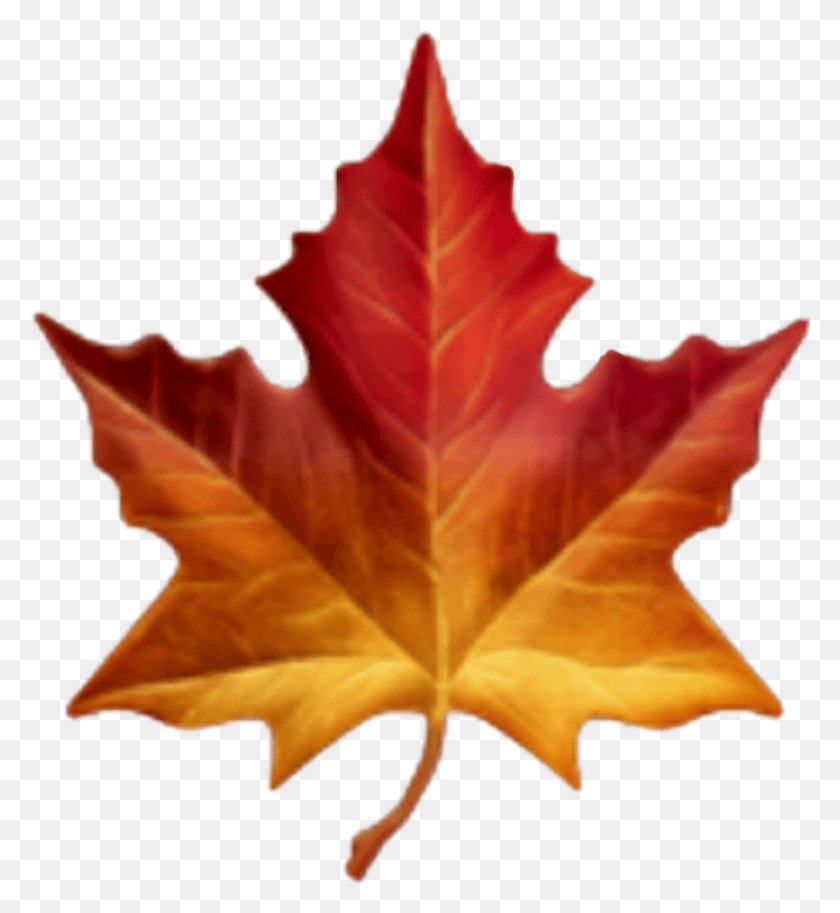 1024x1120 Maple Leaf Emoji Apple Maple Leaf Emoji, Leaf, Plant, Tree HD PNG Download