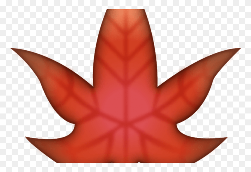 1292x856 Maple Leaf Emoji Image In Emoji Island Feuille Emoji, Leaf, Plant, Tree HD PNG Download