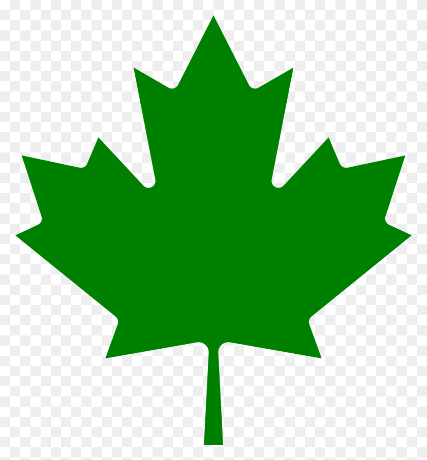 945x1024 Кленовый Лист Зеленый Канадский Кленовый Лист, Лист, Растение, Дерево Hd Png Скачать