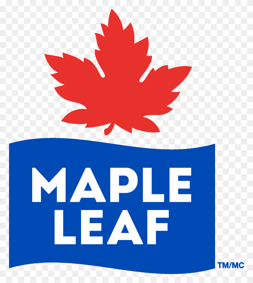 1553x1756 Maple Leaf Logo Logo Maple Leaf Food, Leaf, Plant, Tree HD PNG Download