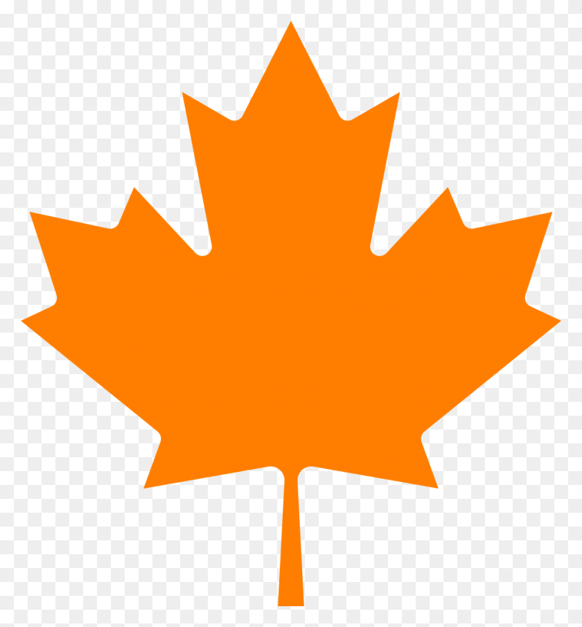 945x1024 Maple Leaf Ndp Canadian Maple Leaf, Leaf, Plant, Tree HD PNG Download