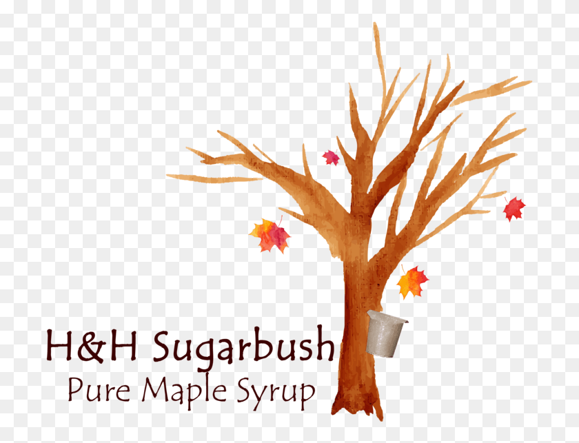 707x583 Maple Syrup, Leaf, Plant, Cross HD PNG Download