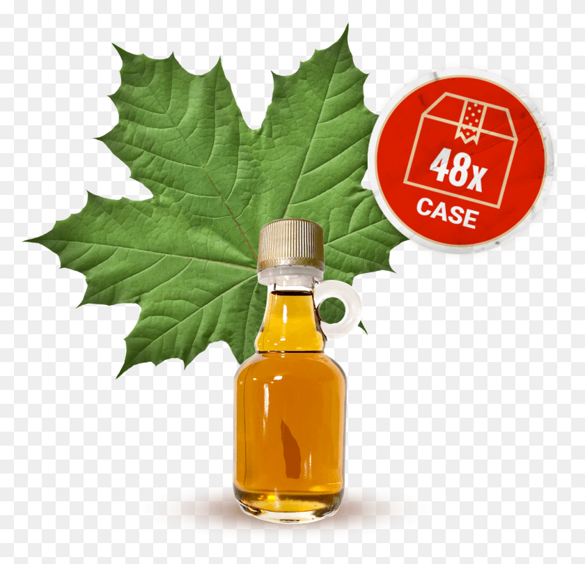 1230x1184 Maple Syrup Small Galone Bottle 48 X Bottles Case Green Maple Leaf, Leaf, Plant, Food HD PNG Download