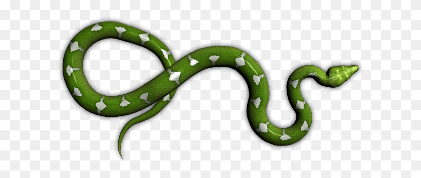 615x295 Descargar Png / Serpiente Verde, Reptil, Animal, Serpiente Verde Hd Png