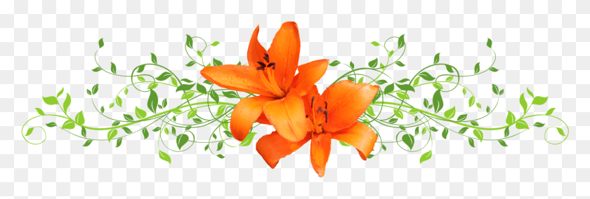 1305x376 Marc Amp Sara39s Wedding Orange Lily, Plant, Flower, Blossom HD PNG Download
