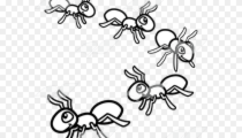 Marching Ants Cliparts, Animal, Ant, Insect, Invertebrate Clipart PNG