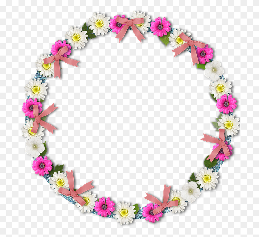 714x708 Png Фоторамка Marco Circular Rosa, День Дружбы, Растение, Цветок, Цветение Hd Png Скачать
