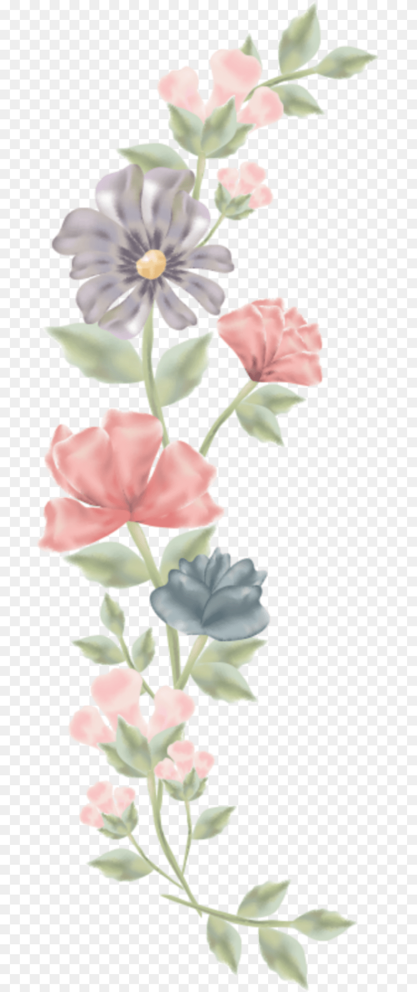 Marco De Flores Vector Wedding Card Flower, Pattern, Petal, Plant, Art Transparent PNG