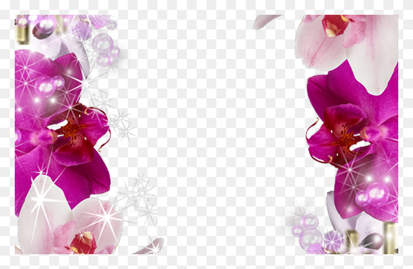 1368x855 Marco De Foto Con Flores Diy Homemade Crafts And Gifts, Plant, Flower, Blossom HD PNG Download