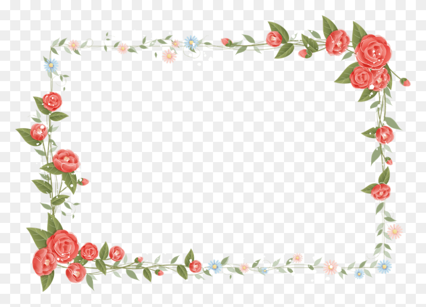 800x561 Маркос Де Флорес Цветок, Растение, Цветок, Лепесток Hd Png Скачать
