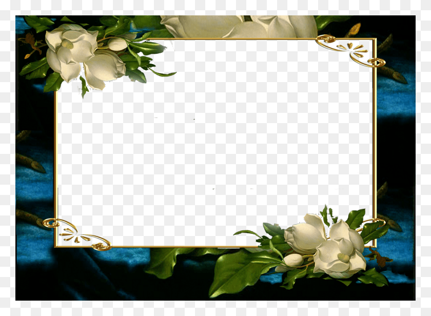 1600x1142 Marcos De Flores Picture Frame, Plant, Flower, Blossom HD PNG Download