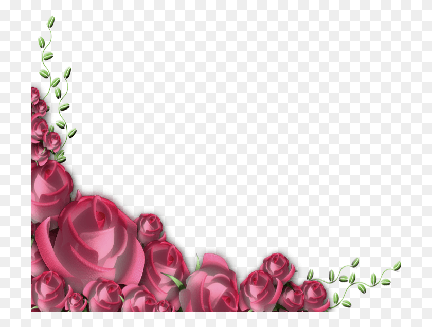 720x576 Marcos De Rosas Wedding Flowers Format, Plant, Rose, Flower HD PNG Download