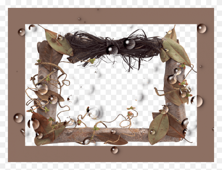 800x600 Marcos Fhotoscape Photoshop Y Gimp Marcos Gota De Frame Dari Ranting, Accessories, Accessory, Jewelry HD PNG Download