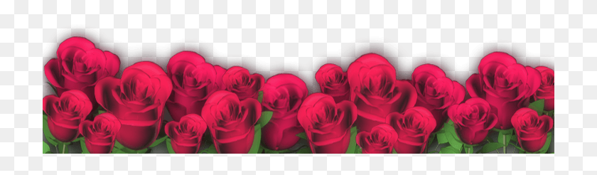 721x186 Marcos Para Fotos Con Flores Марко Де Росас, Роза, Цветок, Растение Hd Png Скачать