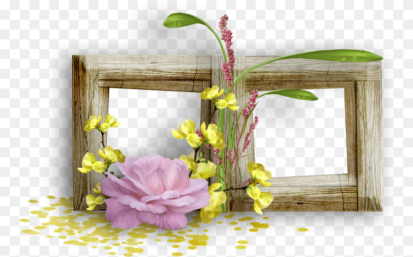 766x523 Marcos Para Fotos De Parejas, Flower, Flower Arrangement, Flower Bouquet, Ikebana Clipart PNG