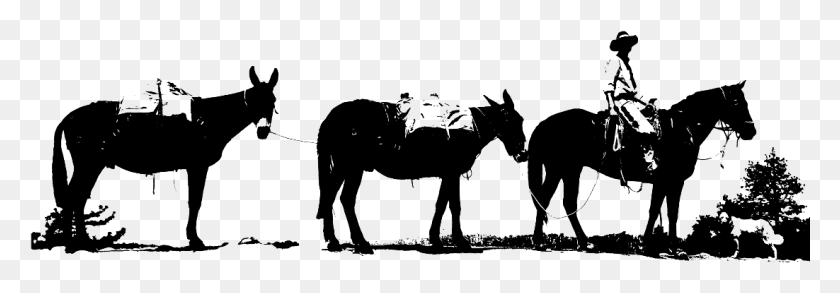 1102x330 Кобыла, Лошадь, Млекопитающее, Животное Hd Png Скачать