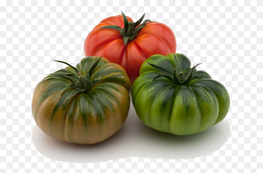 641x494 Maremagno F1 Tomate Maremagno, Plant, Vegetable, Food HD PNG Download