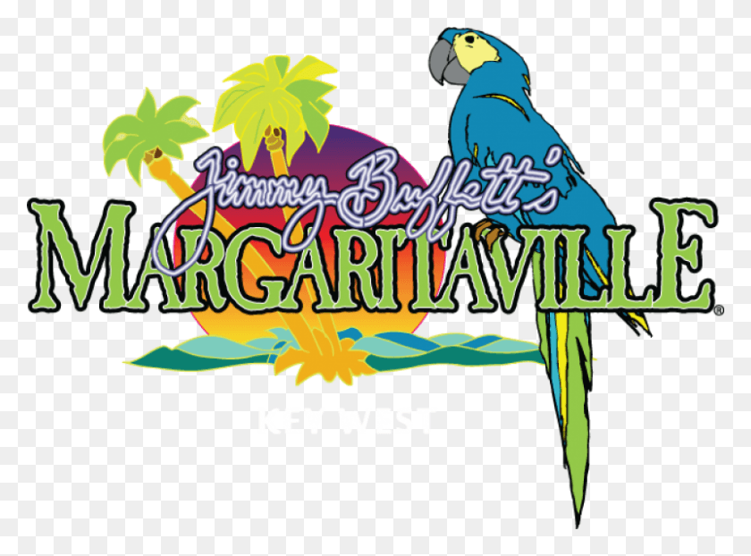 800x577 Margaritaville Key West Jimmy Buffet Margaritaville Key West Logo, Animal, Bird, Crowd HD PNG Download